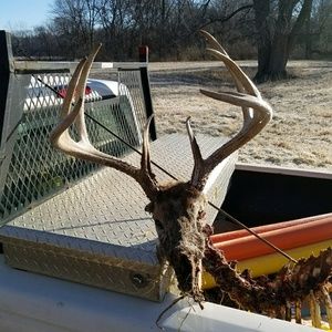 Meet your Posher, Jon